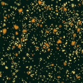 Black Iris - 16 oz Mayco Jungle Gem Crystal Glaze Black Iris - 16 oz Mayco Jungle Gem Crystal Glaze